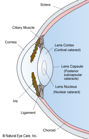 Lens Structure